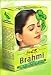 Hesh Brahmi Powder 100g