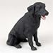 Labrador Retriever, Black Original Dog Figurine (4in-5in)