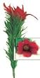 Drooping Flower - Cloth Rose - Easy Magic Trick