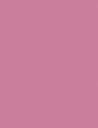 Kaleidoscope Multi-Purpose Paper, 8.5 x 11 Inches, Hot Pink, 500 Sheets (102052)