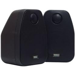 Pyle Home PDX548 5-Inch Metal Cabinet Shielded Satellite Speaker with Swivel Tweeter