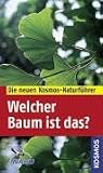 Welcher Baum ist das? title=