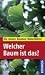  : Welcher Baum ist das?