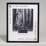 DAX2860V2X Flat Face Wood Poster Frame, Plexiglas® Window, Black Laminate Outer Edge, 16x20