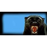 Airbrushed License Plate - Cougar License Plate - #1192 by Unknown