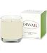 Diana B. Green Tea Desert Grapefruit Candle