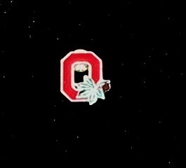 Ohio State Buckeyes Tie Pin