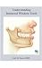 Understanding Impacted Wisdom Teeth