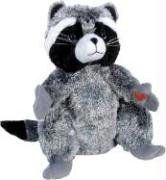 Chester the Raccoon from Audrey Penn's The Kissing Hand 12