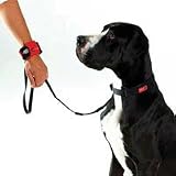 PatentoPet Hands Dog Leash -
