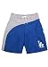 Los Angeles Dodgers MLB Boys Player Swim trunks