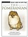 pomeranian9  - TFH Nylabone Terra Nova Pomeranian
