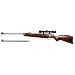 Beeman RS1 Dual-Caliber Air Rifle Combo air rifle