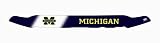 EGR 303110MI Michigan Wolverines Collegiate Shield