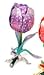 Piearth sA[X WG[{bNX NX^ Δ t[ `[bv NO222 p[v 222-1 PL