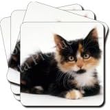 NEW-TORTOISESSHELL KITTEN Set of 4 Coasters