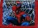 Marvel the Amazing Spider-man Wallet