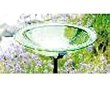 Glass Bird Bath Bowl Iron Light Green