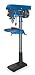 Westward 1KEN6 Floor Drill Press, 17 In, 1 HP, 115V, 12A