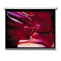 7FT Diagonal Accuscreens Ntsc Manual Wall Ceiling 4:3 50.5X67IN