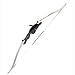 Sporting Goods : Draw Len 46' Draw Weight 15# 20# Hand Ambidexterous PSE Deputy Heritage Recurve Bow