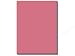 Bazzill Cardstock 8.5x 11 25 pc Orange Peel Pinata
