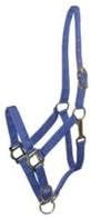 Gatsby Leather Company Nylon Horse Halter Blue