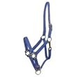 Gatsby Leather Company Nylon Horse Halter Blue