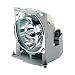 ViewSonic RLU-150-001 Replacement Lamp for PJ500 and PJ501 Projectors