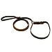 Pet Supplies : Slip Lead 1/2" X 6'