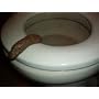 Party Pooper Fake Human Poop