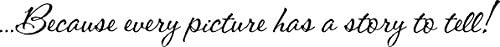 QuoteTheWalls - Vinyl Wall Decal - "...Because every picture has a story to tell....." Design