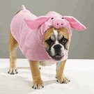 X-LARGE Piggy Pooch Halloween Costume