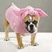 X-LARGE Piggy Pooch Halloween Costume