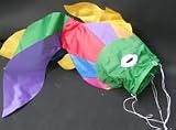 Review   / Koi Carp Wind Sock
