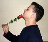 Adair's Jumping Rose