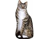 Petra the Tabby Cat Doorstop