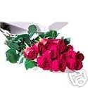 12 Red Roses