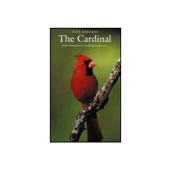 The Cardinal