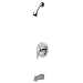Zurn Z7302-SS-MT Tub And Shower Unit