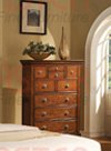 Chest in Light Brown Finish by Coaster Furniture