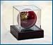 CRICKET BALL DISPLAY CASE