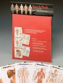 PortAPack Systems Set