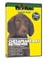 BULLMASTIFF DVD! + Dog & Puppy Training Bonus