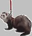 Marshall Pet Products