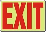 ADMITTANCE AND EXIT EXIT (RED/GLOW) 10