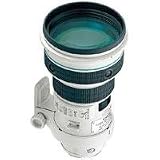 Canon EF 400mm f/4 DO IS USM Super Telephoto Lens for Canon SLR Cameras 
