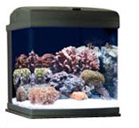 JBJ 28 Gallon Nano-Cube Aquarium with 105 Watt Quad Compact Fluorescent Lighting