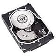 3405381 - Seagate Cheetah 10K.7 - Hard drive - 300 GB - internal - 3.5in - Ultra320 SCSI - 68 pin HD D-Sub - 10000 rpm - buffer: 8 MB