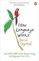 How Language Works: How Babies Babble, Words Change Meaning, and Languages Live or Die